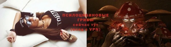 a pvp Беломорск