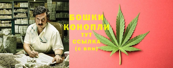 амфетамин Белокуриха